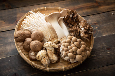 How Medicinal Mushrooms Are Different from Grocery Store Mushrooms