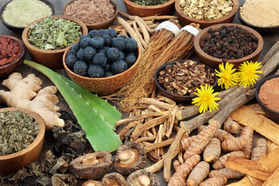 What Are Adaptogens? Meet 5 of the Most Powerful Ones